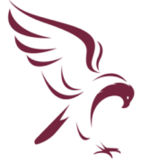 Ohio School of Falconry logo